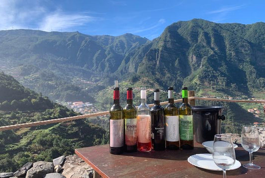 Weinbergtour Madeira